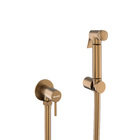 Ducha Higiênica Rose Escovado Água Fria