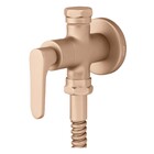 Ducha Higiênica Túnis Clássica Champanhe Fani