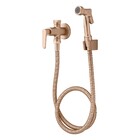 Ducha Higiênica Túnis Clássica Champanhe Fani