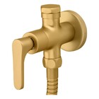 Ducha Higiênica Túnis Clássica Gold Fani