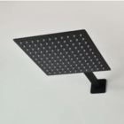 Ducha Inox Quadrada Slim 25x25 C/braço De Parede Preto Black