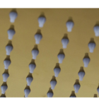 Ducha Teto Quadrada Dourada Em Inox 20x20 Braço 20 Cm Gold