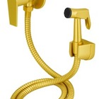 Duha Higienica Dourado Fosco