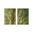 Dupla De Quadros Decorativos Árvore Plantas Natureza Paisagem