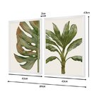 Dupla De Quadros Decorativos Folhagens Plantas Verdes