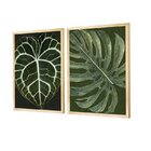 Dupla De Quadros Decorativos Folhagens Verdes Plantas
