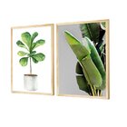 Dupla De Quadros Decorativos Verde Folhagens Plantas