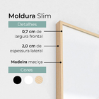 Dupla De Quadros Vidro Gaivotas Minimalista Vida Para Sala