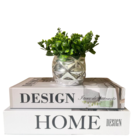 Dupla Livro Caixa Fake Para Decorar E Vaso Prata Traballhado