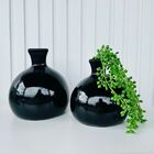 Dupla Vaso Bola Redondo Preto Liso Com Planta Moderna Caída