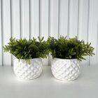 Dupla Vaso Cachepot Branco Em Alto Relevo 3d Decoração Casa