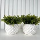 Dupla Vaso Cachepot Branco Em Alto Relevo 3d Decoração Casa