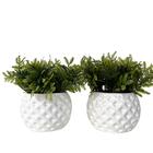 Dupla Vaso Cachepot Branco Em Alto Relevo 3d Decoração Casa