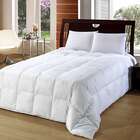 Edredom 100% Pena De Ganso-queen-240x260-branco