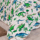 Edredom Carros Dinossauro Solteiro Dupla Face Malha - Verde