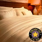 Edredom Casal Premium 300fio 100 Algodão Adamascado 220x200 B