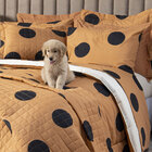 Edredom Casal Queen Dupla Face Percal 160 Fios Estampado Cole