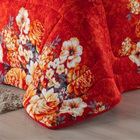 Edredom Coberdrom Sonobom Solteiro Sherpa E Manta - Floral Ve