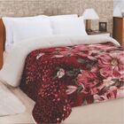 Edredom Florido King Dupla Face Sherpa Toque Lã Carneiro Vinho