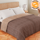 Edredom Queen Dupla Face Aveludado Coberdrom Antialérgico 240