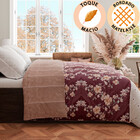 Edredom Queen Dupla Face Aveludado Coberdrom Antialérgico 240