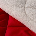 Edredom Sherpa Dream Dupla Face Tamanho Queen Vermelho E Palh