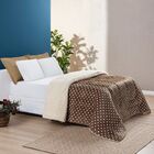 Edredom Solteiro Coberdrom Sherpa/mantinha Petit Poa 1 Peça -