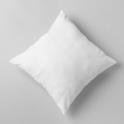 Enchimento Refil Para Almofada Sofá 40x40 Fibra Siliconada Br