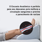 Encosto Anatômico Suave e Macio Fibrasca