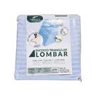Encosto Triangular Para Lombar Fibrasca Branco