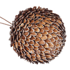 Enfeite Adorno Bola Madeira Bege 11x11x11cm Cromus