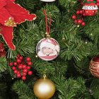 Enfeite para Árvore de Natal Foto Incolor 1 Peça 8x8x8cm Cromus