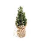 Enfeite de Natal Mini Pinheiro Verde 200x1x5cm Cromus