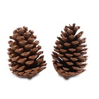 Enfeite de Natal Rena Ouro 9x11x40cm Cromus