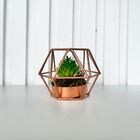 Enfeite Decoração Sala Rack Vaso De Metal Para Suculenta