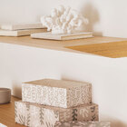 Enfeite Decorativo "coral" Em Poliresina Off White 20x25 5 Cm