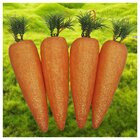 Enfeite Decorativo Páscoa 6 Cenouras Pendentes Isopor 17cm