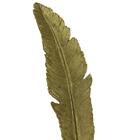 Enfeite L'hermitage Foglia D'oro De Pena Dourada - 28642