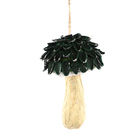 ENFEITE PEND COGUMELO CASCA VERDE 10CM