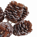 Enfeite Pick Plástico Marrom 15x15x5cm Cromus