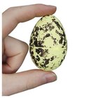 Enfeites Decorativo Bandeja De Ovo De Páscoa Amarelo Isopor