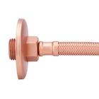 Engate Mangueira Flexível Rose Trançado Aço Inox 60cm