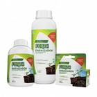 Enraizador Concentrado Forth 500 Ml