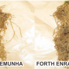 Enraizador Concentrado Forth 500 Ml