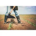 Enxada Canavieira Goivada 2.5 Tramontina Em Aço Sem Cabo