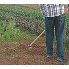 Enxada Canavieira Goivada 2.5 Tramontina Em Aço Sem Cabo