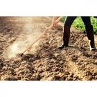 Enxada Estreita 2.5 Tramontina Em Aço Sem Cabo