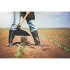 Enxada Larga 2.5 Tramontina Em Aço Com Cabo De Madeira 145 Cm