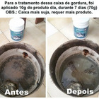 Enzimas Bactérias Limpa Caixa De Gordura Fossa Ralo 6 Unidade