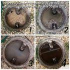 Enzimas Bactérias Limpa Caixa De Gordura Fossa Ralo 6 Unidade